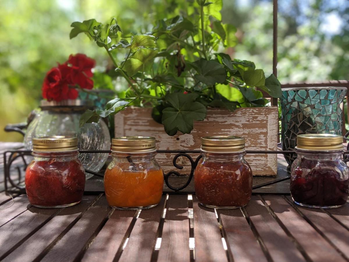 Bed and Breakfast Les Jardins D'Holi Proche Uzes Garrigues-et-Sainte-Eulalie Exterior foto